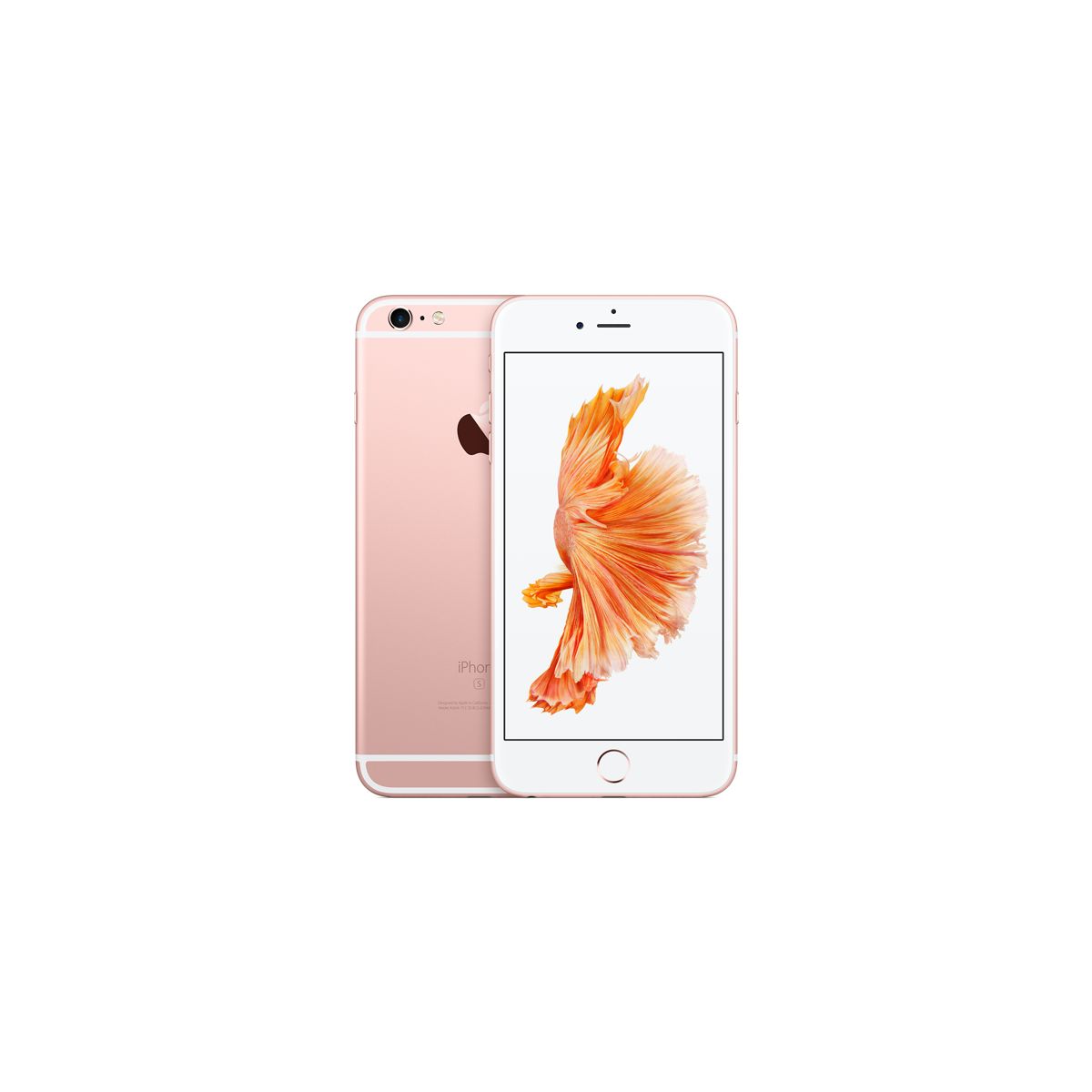 APPLE iPhone 6S Plus 16Go Or rose (photo) APPLE iPhone 6S Plus 16Go Or rose (photo)