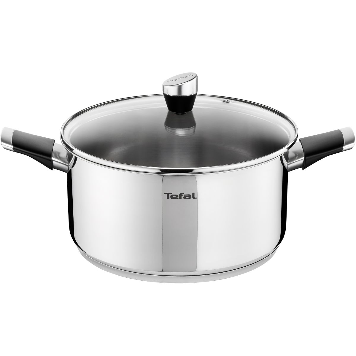 Faitout TEFAL Emotion inox induction diam24cm E8234645