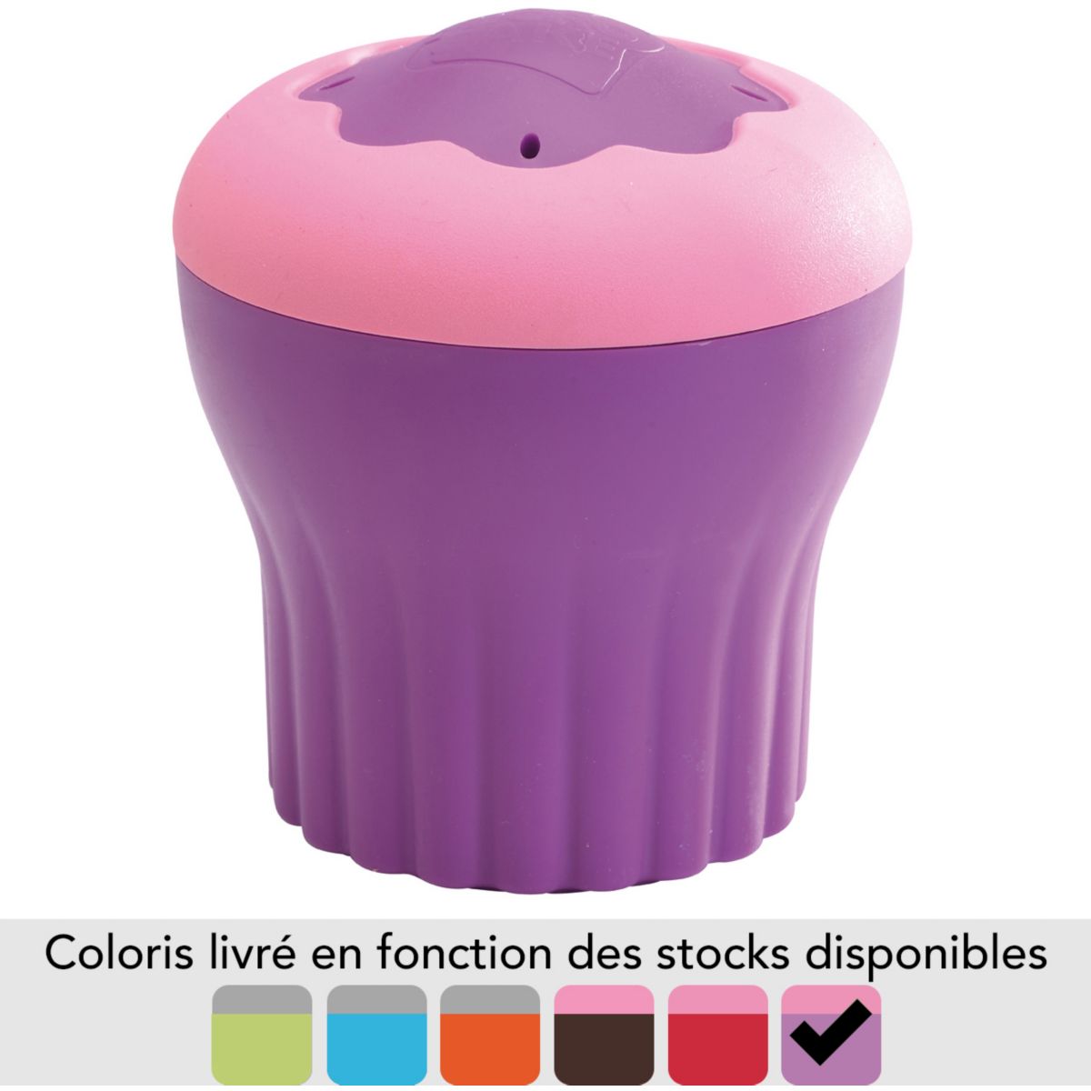 Moule en plastique DUBOST Microcake couleurs assorties (photo) Moule en plastique DUBOST Microcake couleurs assorties (photo)