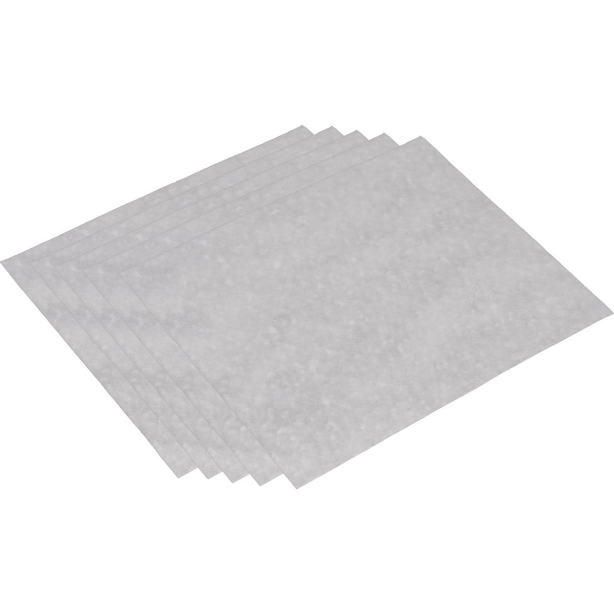 Filtre ROWENTA 5 MICROFILTRE X-TREM POWER