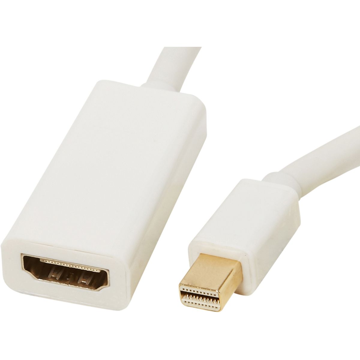 Adaptateur ESSENTIELB Mini- DisplayPort (photo) Adaptateur ESSENTIELB Mini- DisplayPort (photo)