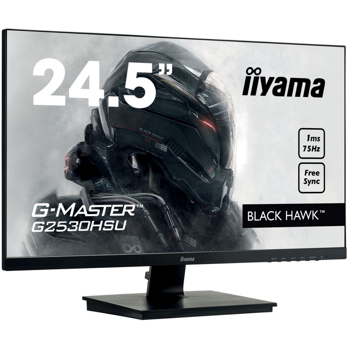 Ecran IIYAMA G-Master G2530HSU-B1 (photo) Ecran IIYAMA G-Master G2530HSU-B1 (photo)